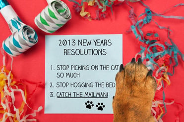 2013Resolutions