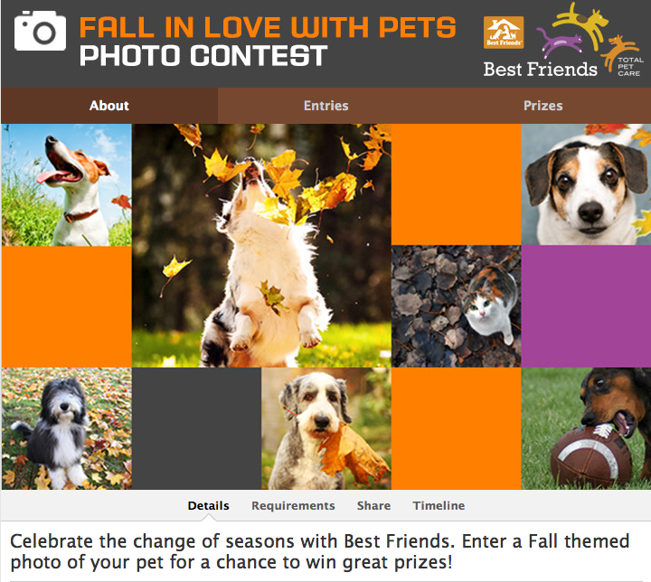 Screen Shot 2013-10-01 at 12.27.39 PM