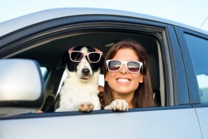 Woman in Car Trips with Pets