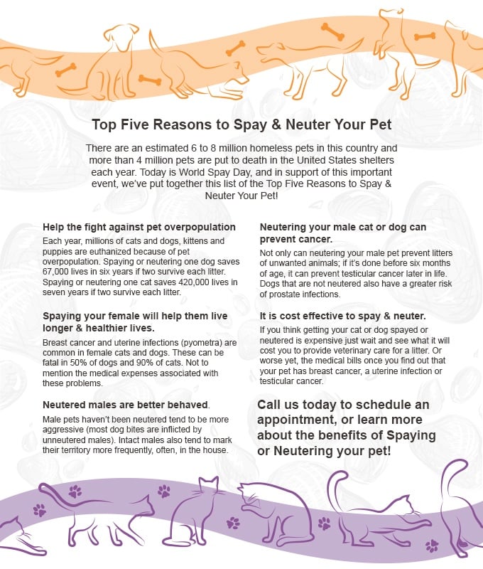 spayneuter_1