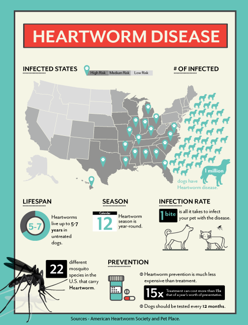 Heartworm Disease Heartworm Disease