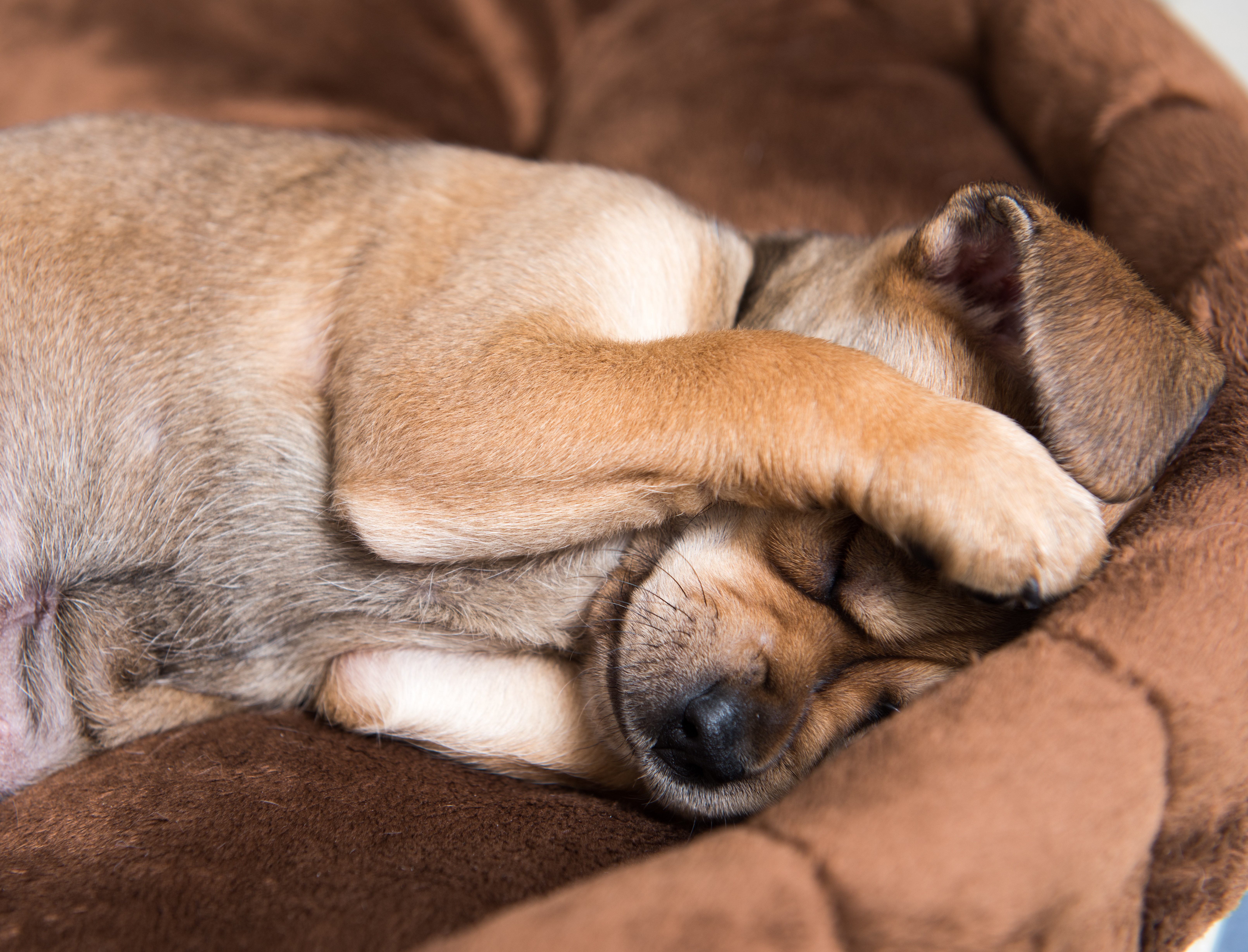 shutterstock_434201827.jpg